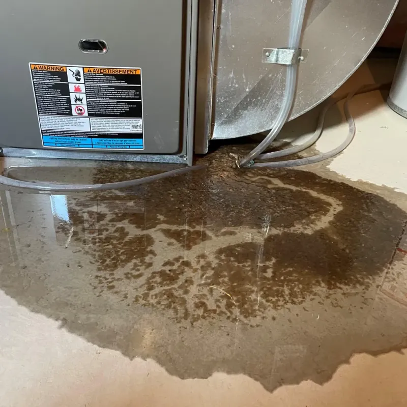 Appliance Leak Cleanup in Orchard Hills, PA